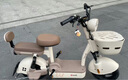 臺鈴電動自行車【國家補貼】小錦鯉50公里長續(xù)航電動車鉛酸電池48V13Ah電瓶車新國標杏仁棕 曬單實拍圖