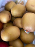 佳沛（zespri）新西蘭  陽光金奇異果18粒超大果原箱單果重約173-204g 獼猴桃 曬單實拍圖