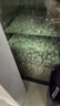 AC魚缸濾材中空石英球魚缸過濾材3D益菌屋過濾材料 【新版升級】中空培菌球5L（送網(wǎng)袋） 曬單實(shí)拍圖