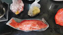深海東斑魚(yú)燕尾斑海捕冰鮮生活速凍超大紅星石斑魚(yú)海鮮魚(yú)類(lèi)水產(chǎn) 東星斑250-500g*1條 曬單實(shí)拍圖