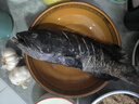 鱘食活凍石斑魚(yú)野外生長(cháng)海捕龍膽珍珠斑 老虎斑生鮮魚(yú)類(lèi)海鮮 石斑魚(yú)700-800g/條【買(mǎi)一送一】 曬單實(shí)拍圖