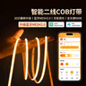 FLYPRO已接入米家app智能燈帶24VCOB線形燈自粘客廳吊頂語(yǔ)音led調(diào)色調(diào)光 14米燈帶+智能藍(lán)牙Mesh2.0電源 白光 曬單實(shí)拍圖