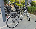 飛鴿（FLYING PIGEON）自行車(chē)成人通勤車(chē)自行車(chē)學(xué)生單車(chē)成人自行車(chē)通勤自行車(chē)城市公路車(chē) 豪華銀|6速+雙碟剎+實(shí)心胎+禮包 26寸|身高160-185cm 曬單實(shí)拍圖