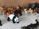 彌鹿（MiDeer）動物模型兒童仿真玩具寶寶禮物水陸野生動物園動物大套裝-15pcs 曬單實拍圖