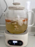 美的全玻璃養生壺 辦公室燒水壺 家用多功能煮茶壺 花茶煮茶器 迷你小型電熱水壺 圍爐煮茶壺 【全玻璃】0金屬0膠水0涂層 1L 曬單實(shí)拍圖