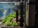 森森（SUNSUN）魚缸過濾器壁掛式抽水泵外置小型過濾桶YBG-400 5W 曬單實拍圖