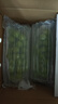 玖原農(nóng)珍 四川陽(yáng)光玫瑰葡萄大顆粒純甜晴王整串 當(dāng)季新鮮水果禮盒 臻選裝凈果4斤約7-15g禮箱裝 曬單實(shí)拍圖