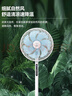 鉆石牌電風(fēng)扇【一級能效+直流變頻+純銅電機(jī)】家用落地扇語音遙控?fù)u頭扇節(jié)能省電輕音臥室客廳DFS-ZGR07 曬單實(shí)拍圖