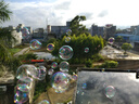 XUM肯德基嬰兒餐椅同款寶寶多功能座椅兒童高度可調(diào)成長(zhǎng)吃飯餐桌椅 黃色+雙餐盤(pán)+剎車(chē)輪+坐墊+置物兜 曬單實(shí)拍圖