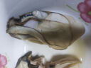 貝司令 鮮活乳山生蠔6XL 凈重4.5斤 6-8只 生鮮海鮮貝類 源頭直發(fā) 曬單實拍圖
