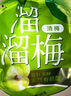 溜溜梅東魁楊梅  原果原味 兒童解饞辦公室健康休閑零食136g/袋 曬單實拍圖