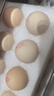 黃天鵝可生食鮮雞蛋30枚L級大蛋3.6斤雞蛋禮盒源頭直發(fā)送禮中秋禮品 30枚L級1.8kg 曬單實(shí)拍圖