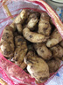 【開(kāi)胃推薦】驚小生鮮新鮮現挖帶泥嫩姜芽 腌制泡菜開(kāi)胃整箱蔬菜 5斤帶箱凈重 4.5斤 家庭裝 曬單實(shí)拍圖
