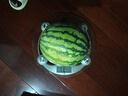 正宗冰糖8424麒麟西瓜新鮮采摘脆甜多汁有籽無籽隨機(jī)發(fā) 西瓜 5-7斤(1-2人) 曬單實(shí)拍圖