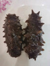 鮮京采x獐子島聯(lián)名 大連即食海參3斤 24-30只 固形物95% 京東自營(yíng) 海鮮 曬單實(shí)拍圖