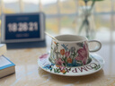 熹物咖啡杯碟【花漾時光】陶瓷杯子禮盒套裝喬遷生日送七夕情人節(jié)禮物 【六個裝】咖啡杯禮盒套裝一 曬單實拍圖