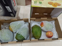 京鮮生 樹上熟 即食凱特芒果 5斤禮盒裝 3-4顆 生鮮水果 曬單實拍圖