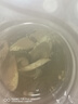 聚和泰 元氣四寶茶西洋參黃芪黨參麥冬組合煲湯中藥材川麥冬黃芪片泡水泡酒料滋補養(yǎng)生茶 黃芪+黨參粒+西洋參+麥冬【4罐共875g】 曬單實拍圖