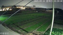 霸天安4G太陽(yáng)能攝像頭 監控室外免插電無(wú)需連wifi終身免流量 監控器360度無(wú)死角帶夜視 全景追蹤手機遠程 曬單實(shí)拍圖