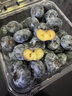 山姆大叔云南L25花香藍莓【順豐閃送-次日達多地】藍莓水果禮盒中秋禮品 【金獎】特級果（單果16-18mm） 4盒裝【爆款推薦-80%人買(mǎi)】100g/盒 曬單實(shí)拍圖