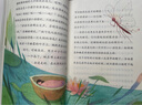 稻草人+安徒生童話+格林童話 人教版快樂(lè)讀書吧三年級(jí)上冊(cè)套裝 曹文軒、陳先云主編 曬單實(shí)拍圖