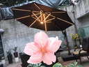 皇聚德戶外遮陽傘庭院傘 別墅花園太陽傘崗亭傘 露天陽臺室外擺攤羅馬傘 【尊貴燈條】2.5米方+300斤水箱 曬單實拍圖