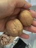 新邊界（new boundaries）薄皮核桃1500g 新疆特產(chǎn)阿克蘇核桃堅果炒貨手剝原味量販 曬單實(shí)拍圖