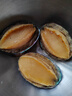 獐子島 冷凍鮑魚320g 6粒/盒 去臟去膜蒜蓉料包 火鍋煲湯預(yù)制菜海鮮水產(chǎn) 曬單實(shí)拍圖