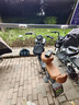 萬(wàn)仕龍高級電動(dòng)車(chē)座套防水防曬四季通用雅迪愛(ài)瑪臺鈴電瓶車(chē)坐墊套耐磨加厚座椅套 輕奢棕【前座+后座+靠背套】 通用尺寸 曬單實(shí)拍圖