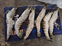 海捕超大黑虎蝦越南進(jìn)口巨型特大蝦金剛蝦海鮮 斑節對蝦老虎蝦 越南黑虎蝦 500g(凈重)  1盒（1盒10-12只） 曬單實(shí)拍圖