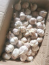 精選新鮮山東大蒜干蒜多瓣蒜頭蔬菜批發(fā)產(chǎn)地直發(fā)大蒜頭 優(yōu)選 5斤 (果徑≥3.5cm) 曬單實(shí)拍圖