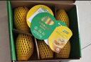 佳沛（zespri）新西蘭  陽(yáng)光金果6粒 單果約77-103g  源頭直發(fā)  獼猴桃 中秋禮盒 曬單實(shí)拍圖