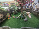 榮耀Play9C 5200mAh超能長續(xù)航 SGS抗跌耐摔 90Hz護(hù)眼屏 銀發(fā)人群 6+128 碧空藍(lán) 5G AI手機(jī)  曬單實(shí)拍圖