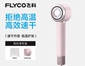 飛科（FLYCO）高速電吹風(fēng)機教師節禮物家用便攜出游速干負離子大風(fēng)力護發(fā)吹風(fēng)筒FH6371鉆石粉 曬單實(shí)拍圖