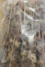 鮮京采內(nèi)蒙古孜然羊肉串凈重2斤 （50串）露營戶外燒烤 京東自有品牌 曬單實拍圖