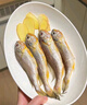 黃小漁南美黃魚(yú)鲞450g/2條 三去大黃魚(yú)黃花魚(yú)生鮮 海鮮水產(chǎn)燒烤魚(yú)類(lèi)中秋 曬單實(shí)拍圖