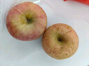 京鮮鯤新疆冰糖心蘋(píng)果紅富士丑蘋(píng)果 新鮮水果 凈重4.5斤75-80mm 曬單實(shí)拍圖
