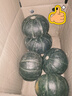 京鮮生＆佳農 山東貝貝南瓜凈重4.5斤4-8頭單果約300g+香甜爆粉源頭直發(fā) 曬單實(shí)拍圖
