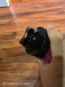 雷達(dá)（Raid）基孔肯雅熱殺蟲劑噴霧滅蚊噴霧600ml（無香型）殺蟲劑家用滅蟑螂 曬單實拍圖
