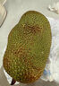 【順豐包郵】海南三亞榴蓮蜜密5斤新鮮軟糯熱帶水果濕包現摘特產(chǎn)A 大果1.5—2斤（1個(gè)） 曬單實(shí)拍圖