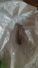 NOVO染眉膏防水防汗持久不掉色不暈染根根分明自然立體學(xué)生野生眉 02#灰咖 曬單實(shí)拍圖