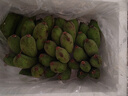 溪山鮮廣西小米蕉香蕉應季水果米蕉蕉綠新鮮批發(fā)整箱3斤5斤9斤大超市 美味小米蕉 約 7-9個(gè)/斤2500g 軟糯香甜，帶有一點(diǎn)點(diǎn)果酸 曬單實(shí)拍圖
