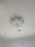 雷士（NVC）LED吸頂燈兒童燈奶油風(fēng)吸頂燈臥室燈現(xiàn)代輕奢創(chuàng)意云朵燈書房燈具 48W 【全光譜】向日葵 | 三色調(diào)光 曬單實(shí)拍圖
