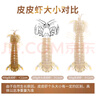 海鮮世家椒鹽風(fēng)味皮皮蝦400g 肉質(zhì)飽滿椒鹽家庭聚餐海鮮蝦爬子 曬單實(shí)拍圖