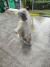 牧萌兒童雨衣男童女童防水全身雨披幼兒園小學(xué)生雨具 黃色小黃鴨 L 曬單實拍圖