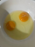 康咯咯康大可生食雞蛋無抗鮮雞蛋營(yíng)養(yǎng)雞蛋無沙門氏菌高品質(zhì)蛋單枚50g+ 【居家必備可生食】30枚  1.5kg+ 曬單實(shí)拍圖