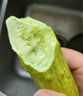 蔬果哆山東煙臺(tái)海陽(yáng)特產(chǎn) 白玉黃瓜 新鮮水果黃瓜 生吃 應(yīng)季 新鮮蔬菜 一箱凈重 3斤 保溫箱加冰發(fā)貨 曬單實(shí)拍圖