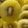 佳沛（zespri）新西蘭  陽(yáng)光金奇異果巨大果22粒原箱 單果重約144-175g 獼猴桃 曬單實(shí)拍圖