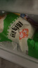 安井豬肉包 720g /袋 約24個 家庭裝包子早餐 速凍面點(diǎn)早點(diǎn)半成品 曬單實(shí)拍圖
