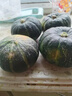 正宗貝貝南瓜小南瓜新鮮板栗味寶寶輔食粉糯營(yíng)養豐富優(yōu)質(zhì)奶油南瓜 新鮮貝貝南瓜【現摘現發(fā)】 3斤 曬單實(shí)拍圖